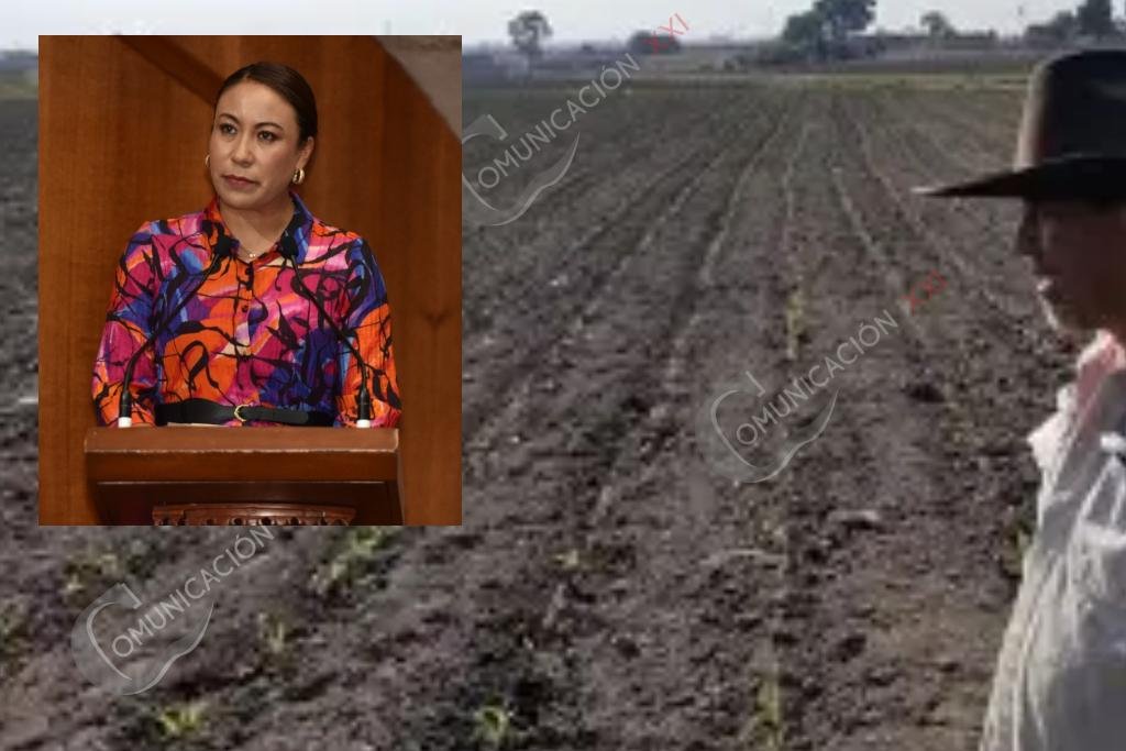 El campo necesita mejorar costos de producción