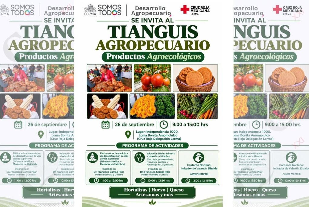 tianguis agropecuario