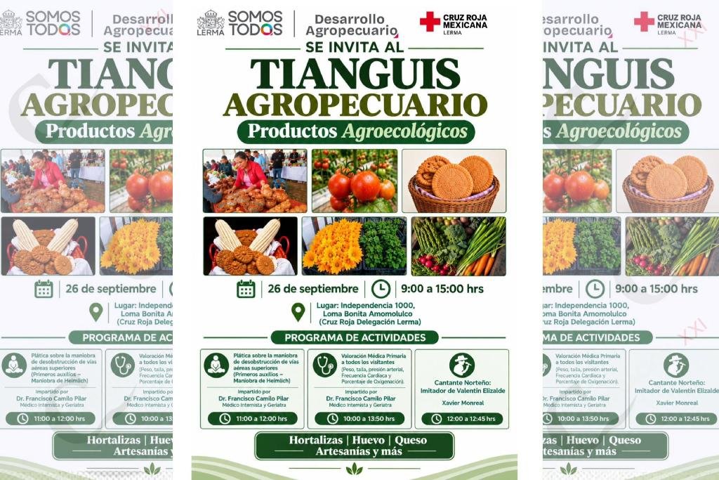 tianguis agropecuario