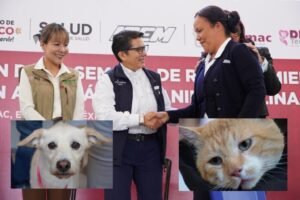 vacunación antirrábica