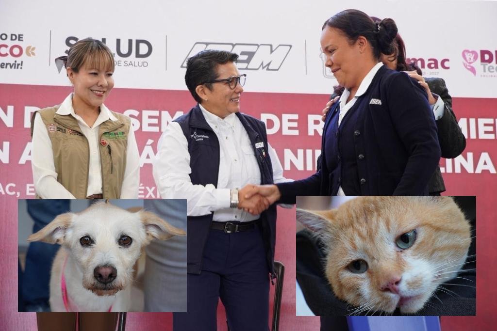 vacunación antirrábica