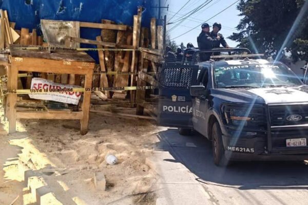 Clausuran seis aserraderos en Ocuilan por tala clandestina