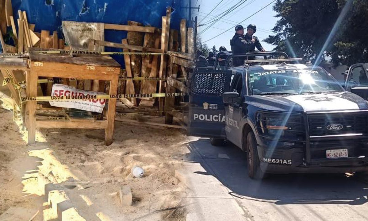 Clausuran seis aserraderos en Ocuilan por tala clandestina