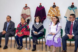 Diseñan en la UAEMéx estufas de leña para reducir daños a la salud