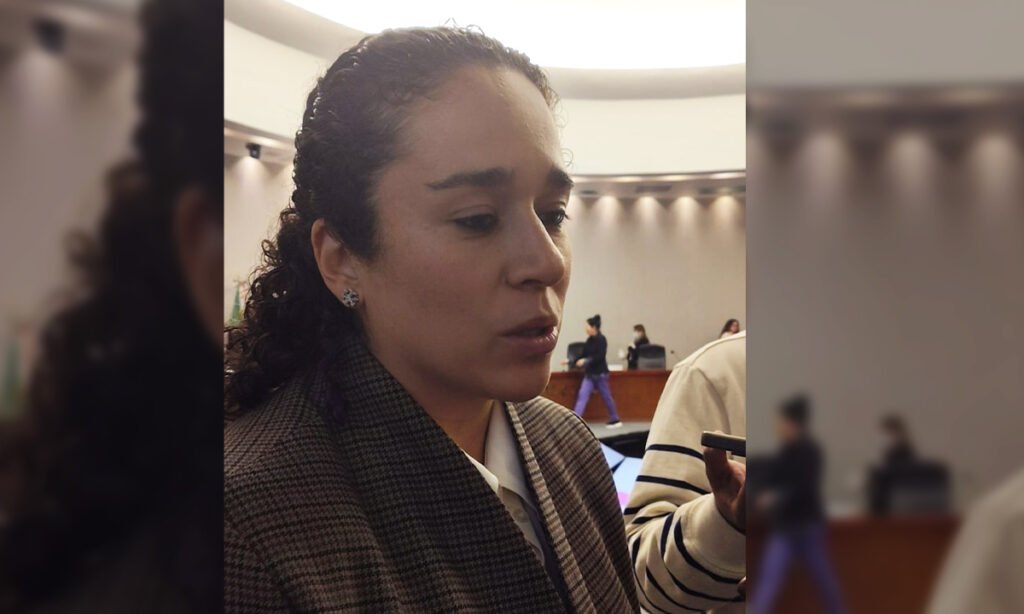 Plataformas deberán regular IA, plantea Amalia Pulido del IEEM