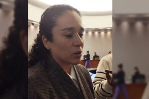 Plataformas deberán regular IA, plantea Amalia Pulido del IEEM