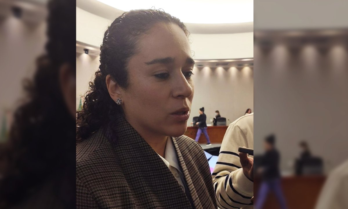Plataformas deberán regular IA, plantea Amalia Pulido del IEEM