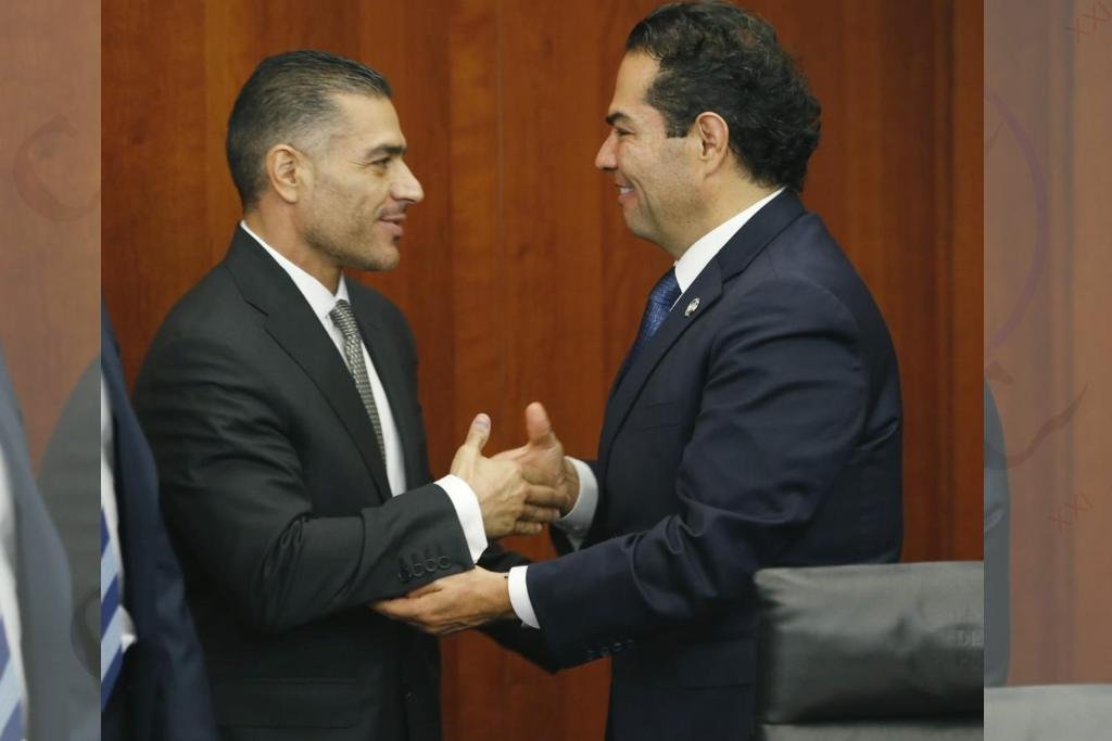 senador de la república