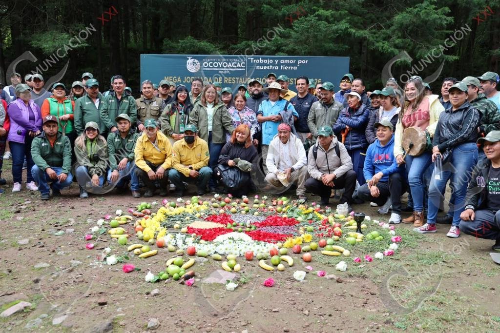 reforestación en Ocoyoacac