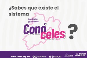 ¿Qué-quieres-saber-de-quienes-buscan-tu-voto--IEEM-pregunta}